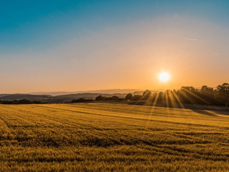 AI-Powered Agriculture