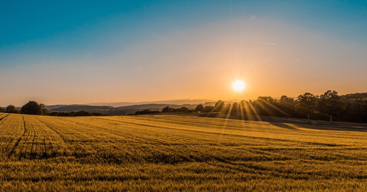 AI-Powered Agriculture: Improving Crop Yield and Sustainable Farming Practices